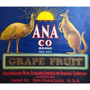 ANA Brand Grape Fruit Crate Label Emu Kangaroo Animal Art Original Vintage 1920s